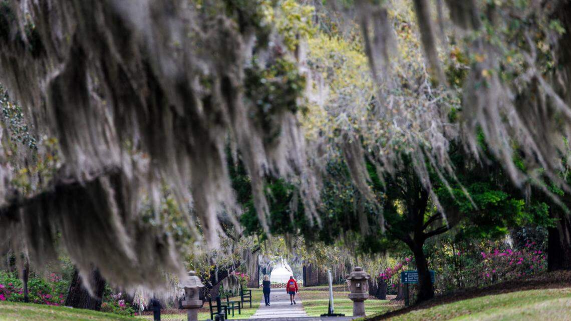 ‘Survivor’ immunity idol hiding at popular Grand Strand attraction. Can you find it?