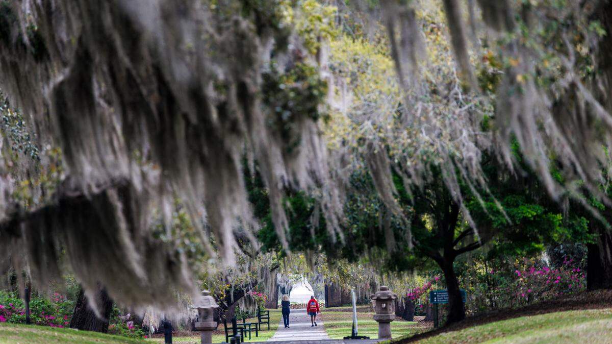 A Survivor immunity idol will be hiding at Brookgreen Gardens. Everyone registered for the hunt who finds it gets a chance to win the grand prize. TSN April 2, 2025 File.