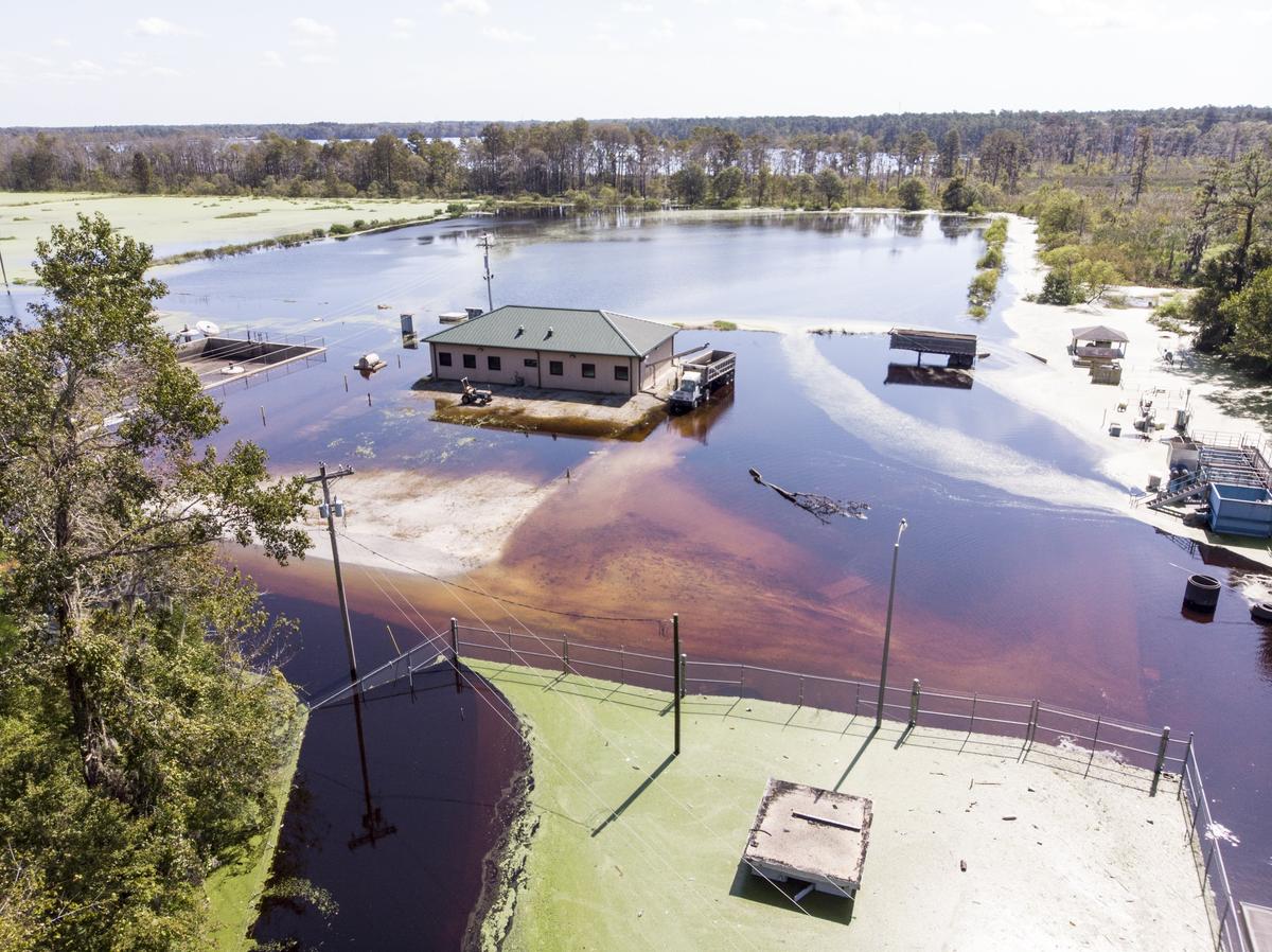 Grand Strand Water and Sewer Authority’s Conway wastewater treatment plant stopped working Wednesday due to flooding, but it was back operational Thursday morning after dumping millions of gallons of untreated waste water into a tributary that feeds into the Waccamaw River.. Thursday, Sept. 27, 2018.