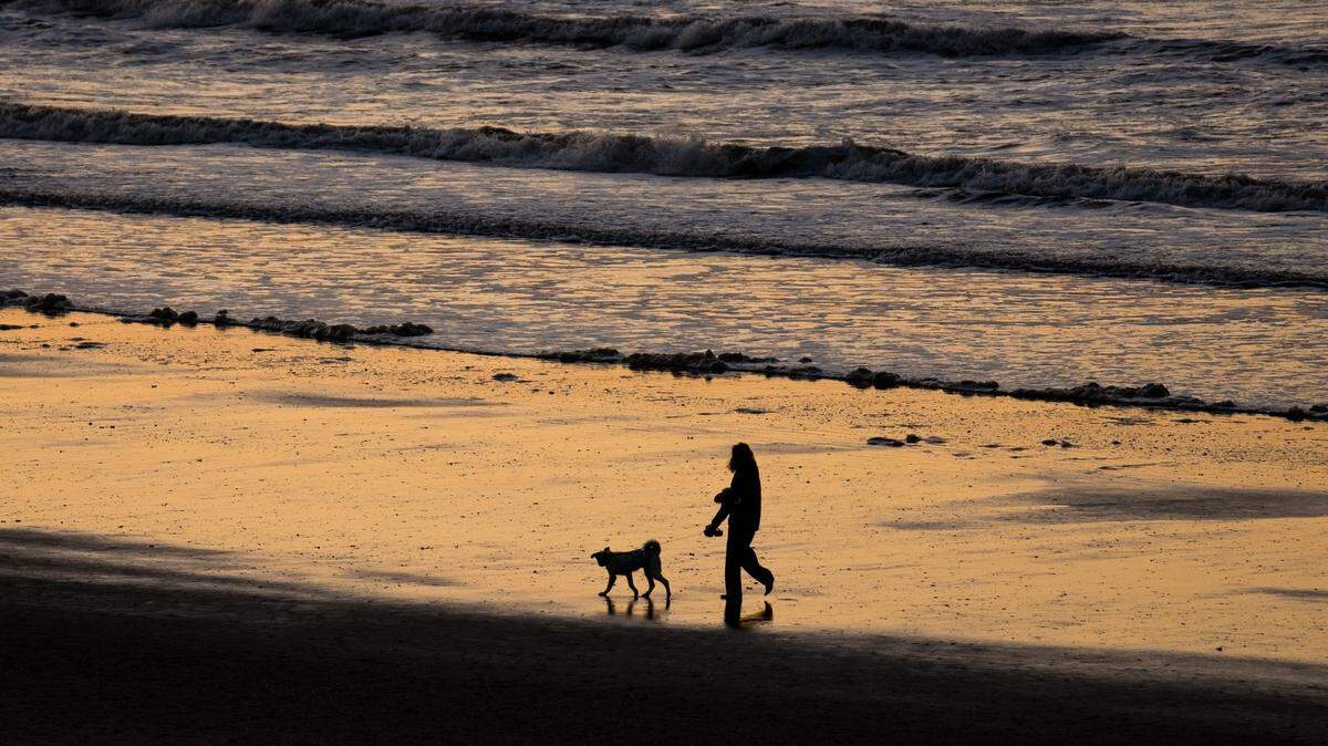 A person and dog walk along the beach in North Myrtle Beach.