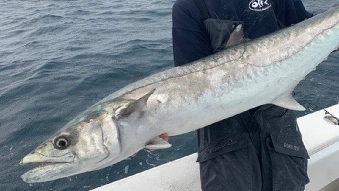 How this fishing crew narrowly made the slot limit with red drum to win tournament