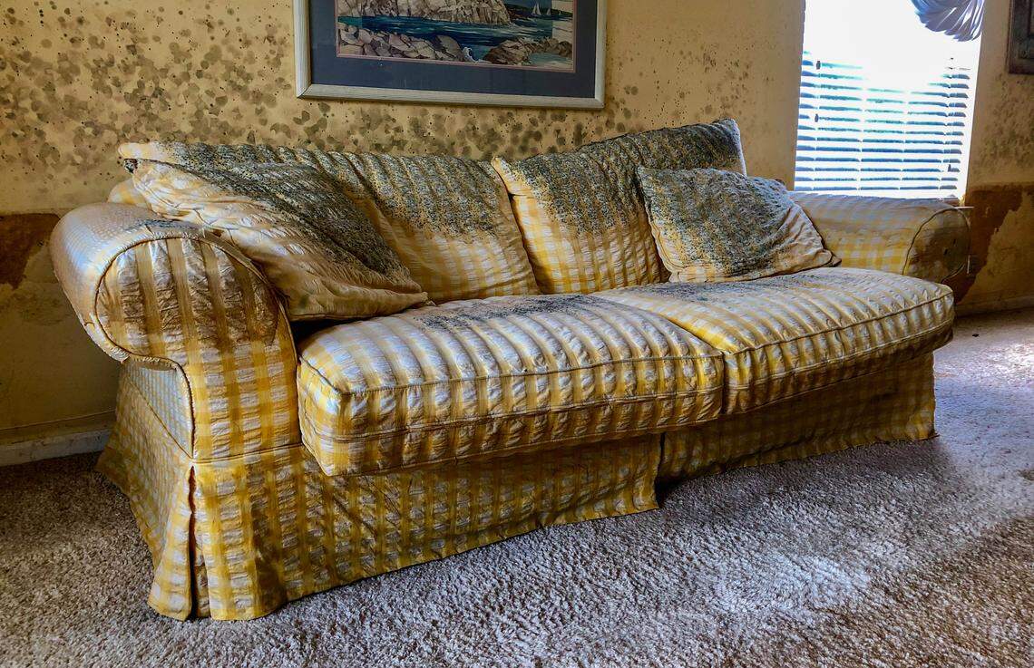 A couch sits covered in mold and mildew in Lee Manuel’s apartment Monday at Aberdeen Country Club.