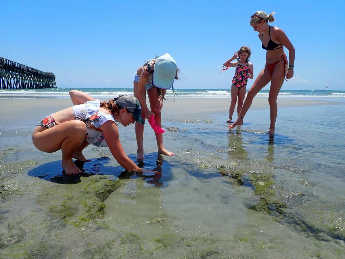 A fossilized sea rock bed is exposed at low tide just South of the 2nd Avenue Pier in Myrtle Beach, S.C. Scientist say the rock, often covered by shifting sands, is over 80,000 years old. Aug. 1, 2023.