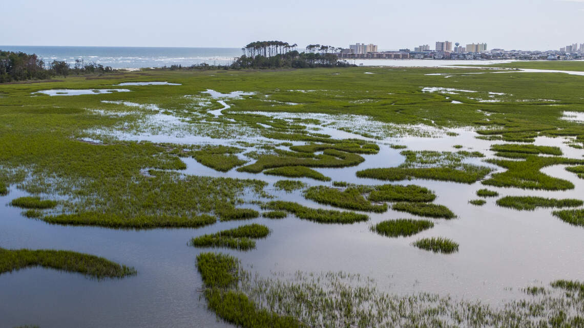 Family has had SC island for a century. What might it look like as a state park?