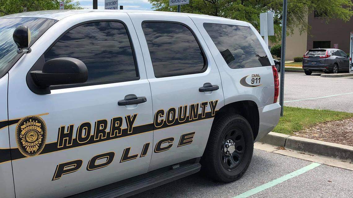 Son stabs 81-year-old mother to death in her Horry County home. What we know