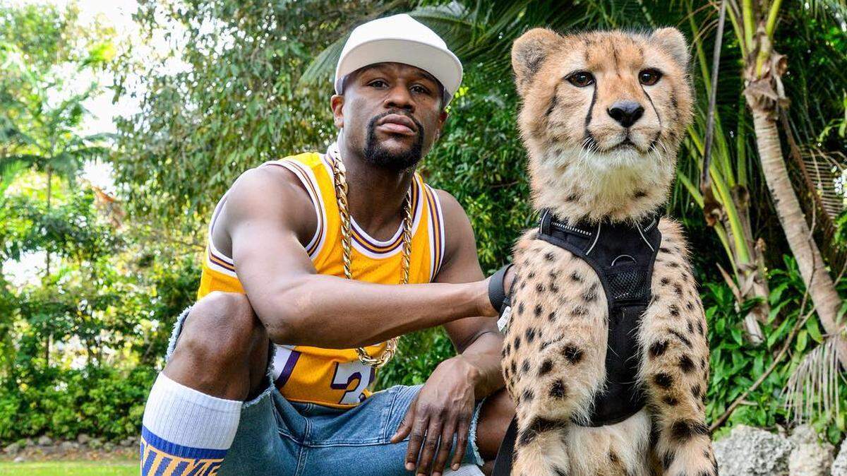Floyd Mayweather poses with King Tut, a young cheetah, at the Myrtle Beach Safari.