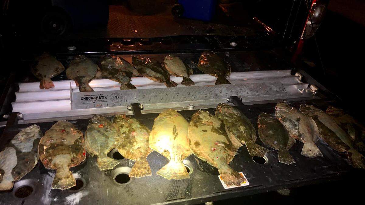 A fisherman from Tabor City, N.C. was cited for illegal flounder harvest across the state line in Cherry Grove Inlet last weekend. First Sergeant Kevin Pardue of S.C. Department of Natural Resources Law Enforcement called the case a “very egregious violation.”