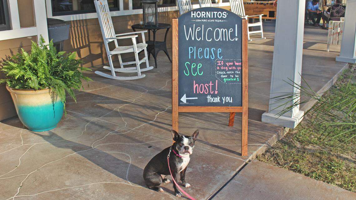 The Sneaky Beagle in Carolina Forest lets you order off a special menu just for dogs.