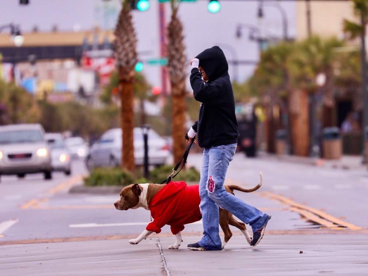 Wearing a red hoodie, a pit bull named “Tough Guy” gets walked by his owner Kim Flanary along Ocean Boulevard in Myrtle Beach. Days of rain and cold temperatures have put a damper on the Grand Strand.