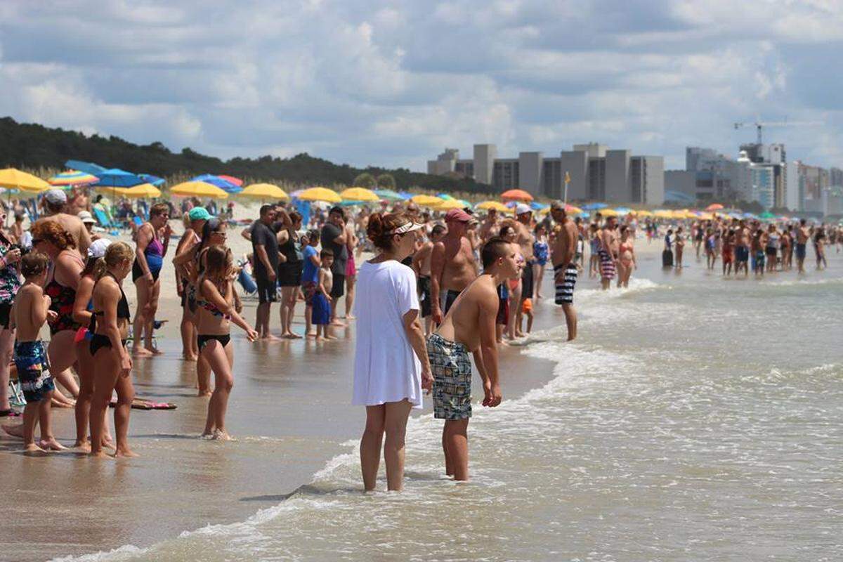 Beachgoers look on after clearing the ocean when word of a shark in the water was spread.