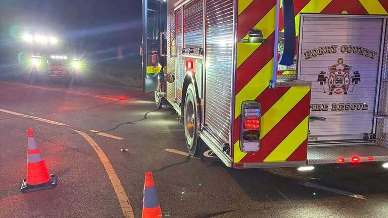 Harley-Davidson motorcyclist and passenger killed in Horry County crash
