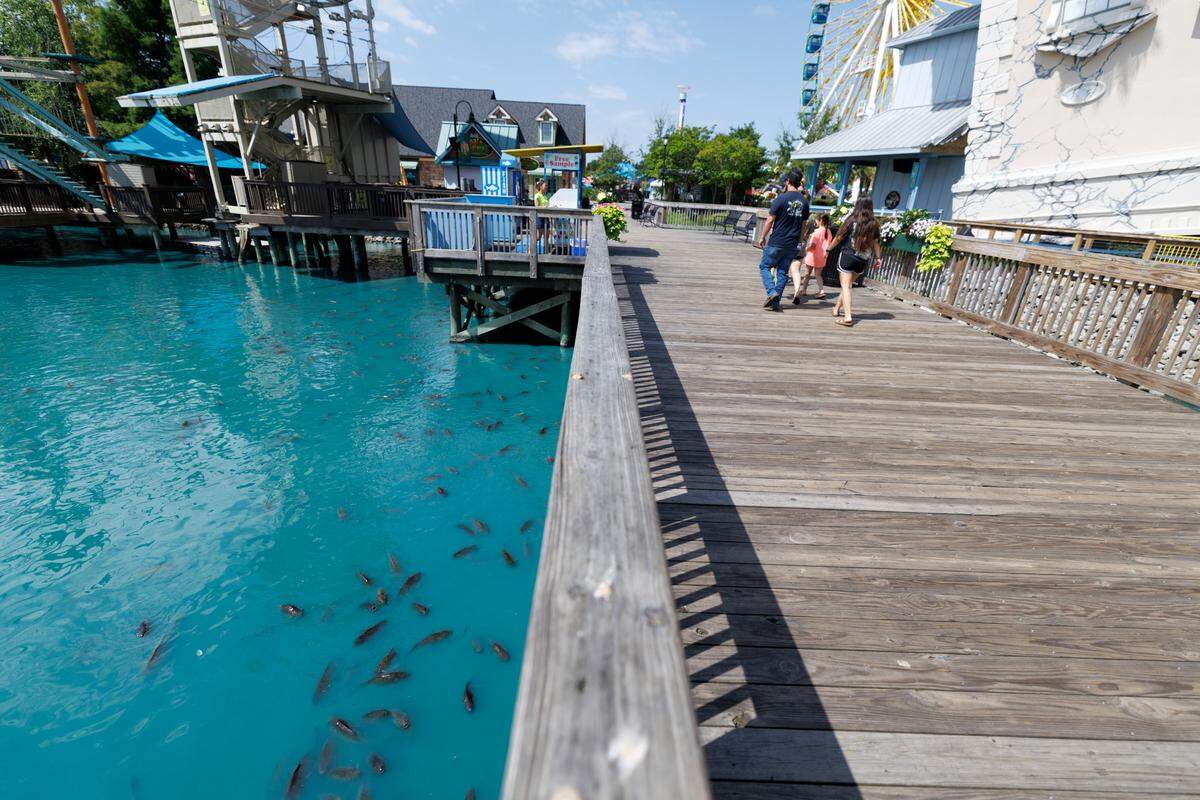 A school of carp swim around the boardwalks at Broadway at the Beach begging for the fish food sold from kiosks in the entertainment complex. Wednesday, June 11, 2025.