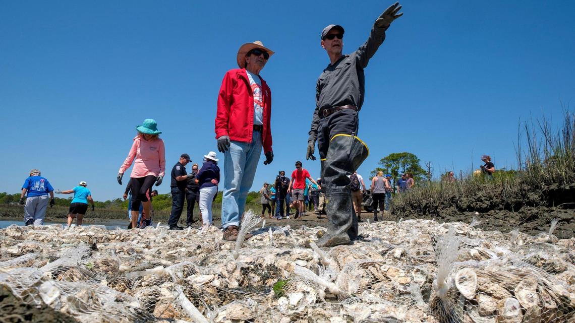 SC salt marshes are being threatened. What are plans to help preserve them?