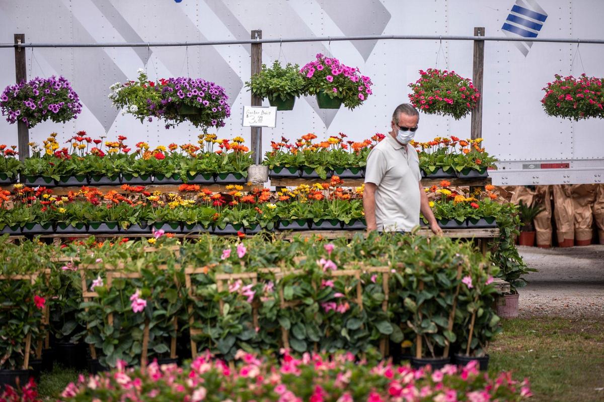 The Pee Dee State Farmers market is set to host the Plant and Flower Sale April 22-25. The event, expected to bring over up to 22,000 visitors, was closed last year due to the COVID-19 pandemic. The three state farmers markets in S.C. were set up by the S.C. Department of Agriculture to support local farming in the region. April 15, 2021.