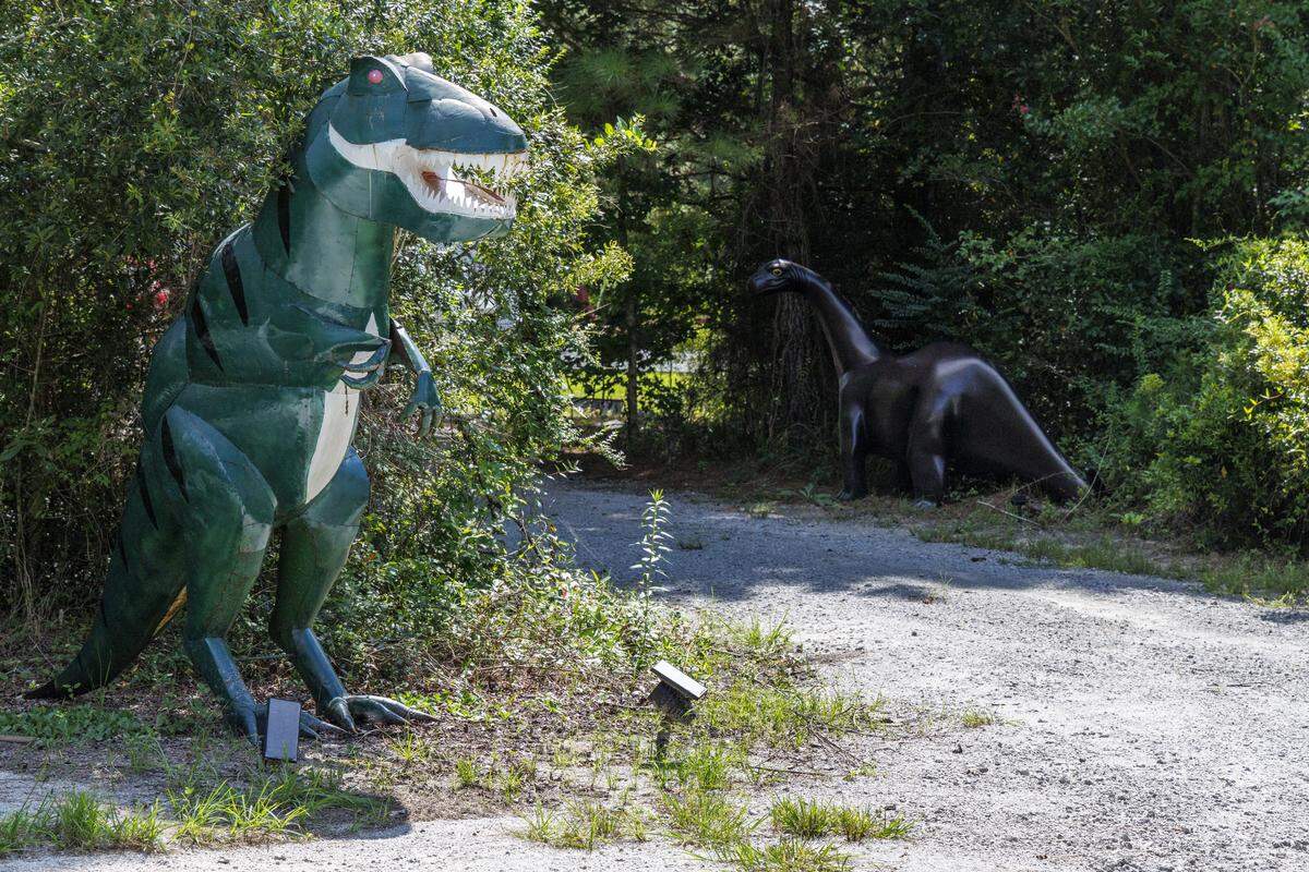 Alan Jones has acquired an eclectic mix of custom cars, marvel superheroes and movie and T.V. memorabilia at his Grande Dunes home in Myrtle Beach, SC. He and his wife Lisa also have a Loris farm that houses an animatronic dragon, a giant octopus and several dinosaurs replicas. “I just want people to enjoy it with me,” he said. August, 2025.