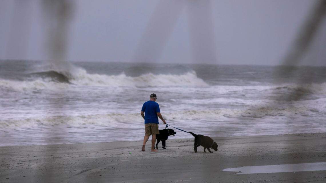 Sea foam churned up by the ocean could contain chemicals and bacteria that could be toxic to your dog. Thursday Sept. 04, 2019.