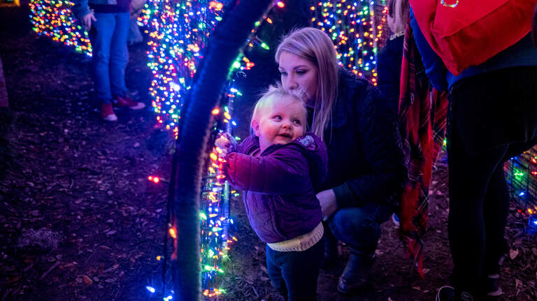 This SC city was named one of the best Christmas destinations by Lonely Planet. Find out why