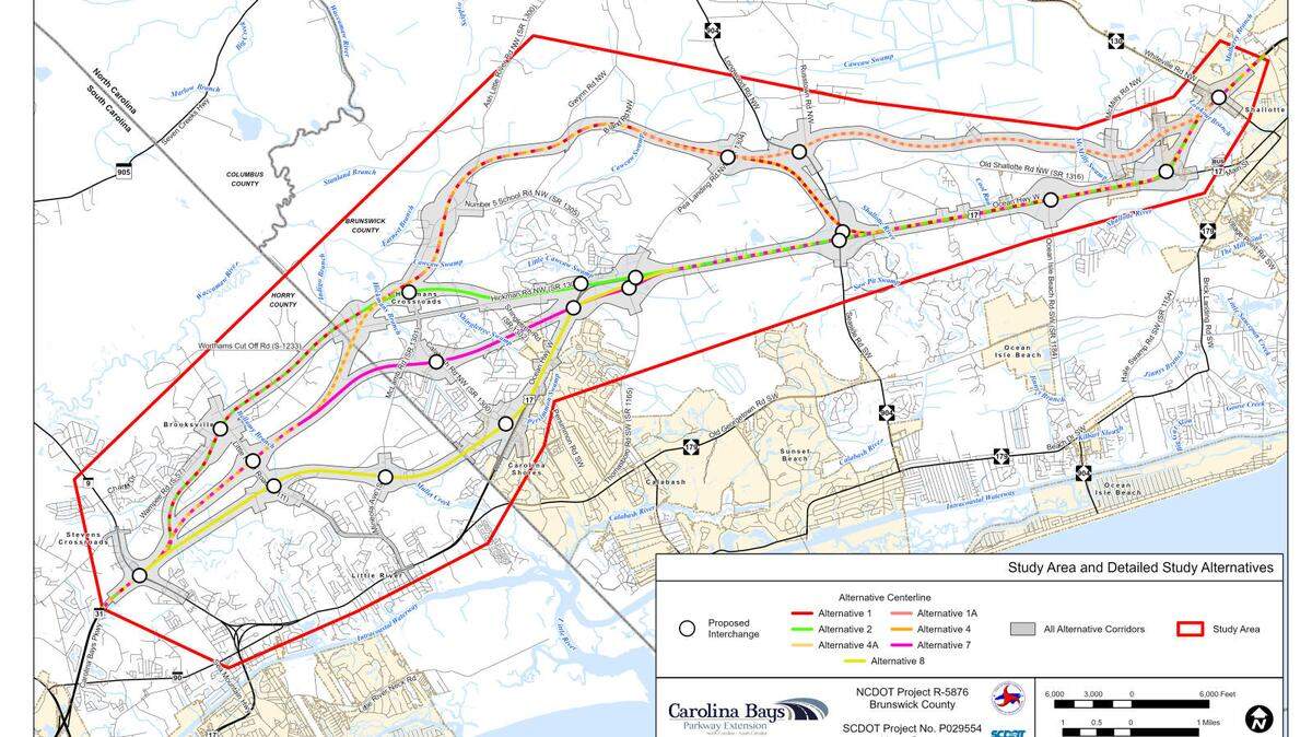 publicinput.com/carolina-bays-pkwy