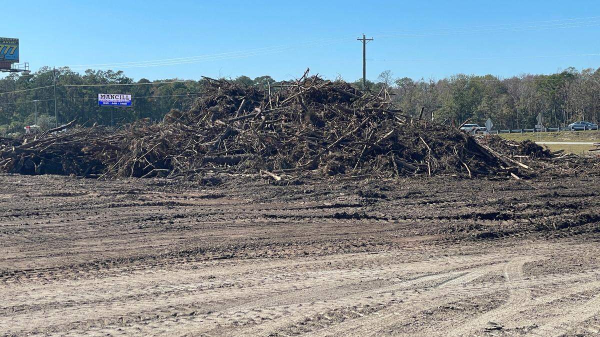 Trees were cut down along US Highway 17 near Surfside Beach as new development could be coming to the Myrtle Beach area.