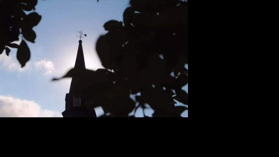 Holy cow, Charleston is best in the world