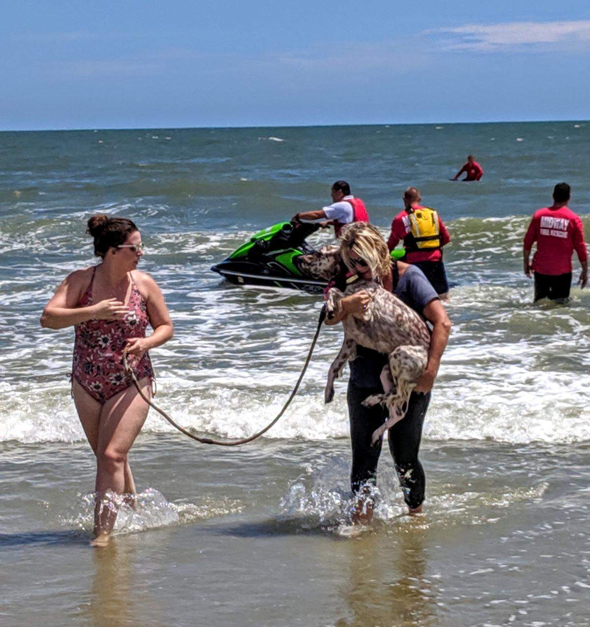 Local resident Renee carries Lucy, an English Settler who took off into the ocean for nearly a half hour Monday in Pawleys Island.