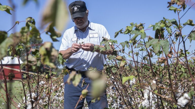 Horry farmers prepare for Hurricane Dorian but are still waiting on funding from Florence