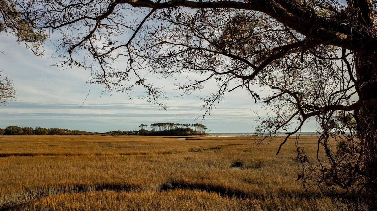 A distant view of Hog Inlet and Waties Island from Frink Park on Little River Neck. January 5, 2023.