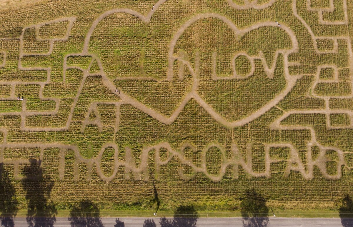 Families navigate a corn maze at Thompson Farm, one of many venues hosting events along the Grand Strand to experience the season. Oct. 23, 2018.