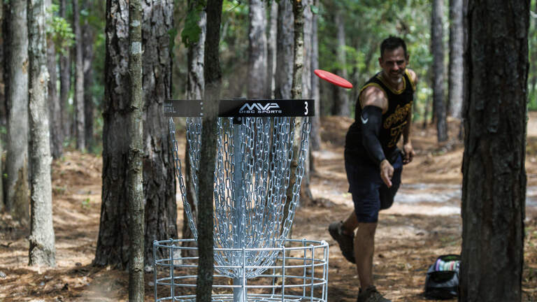New 18-hole disc golf course in a cypress forest opens in North Myrtle Beach