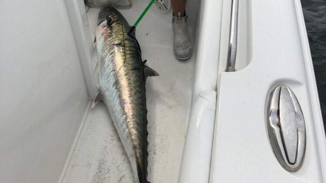 ‘Not bad for a Saturday fishing’: Oak Island crew land big king near Cherry Grove Pier