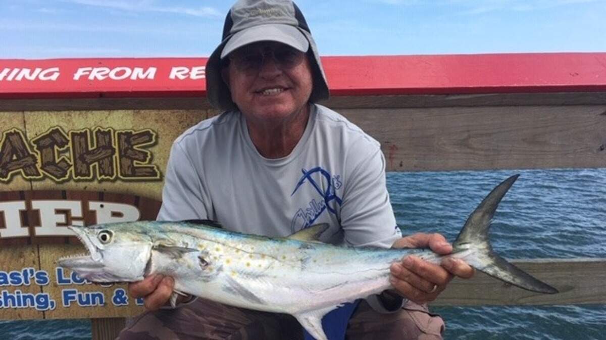 Ron Loveless caught this large Spanish mackerel from the Apache Pier earlier this week.