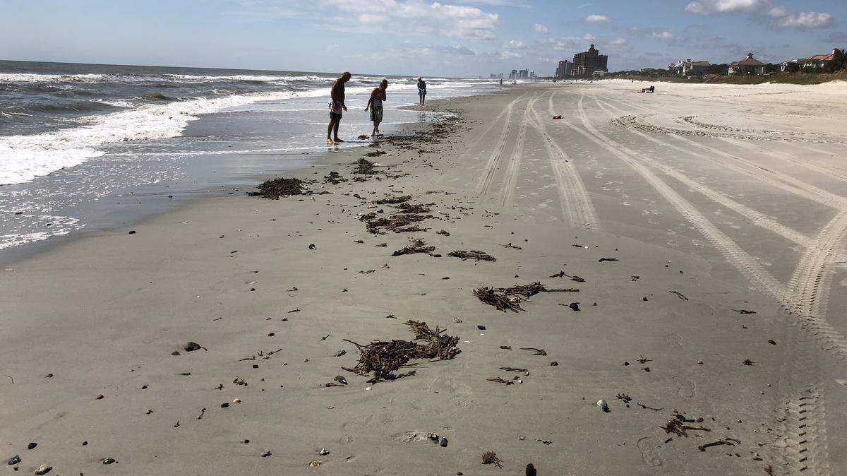 Beachcombers search the shores for treasures left behind by Hurricane Florence on Tuesday, Sept. 18, 2018 in the area of 71st Avenue North.