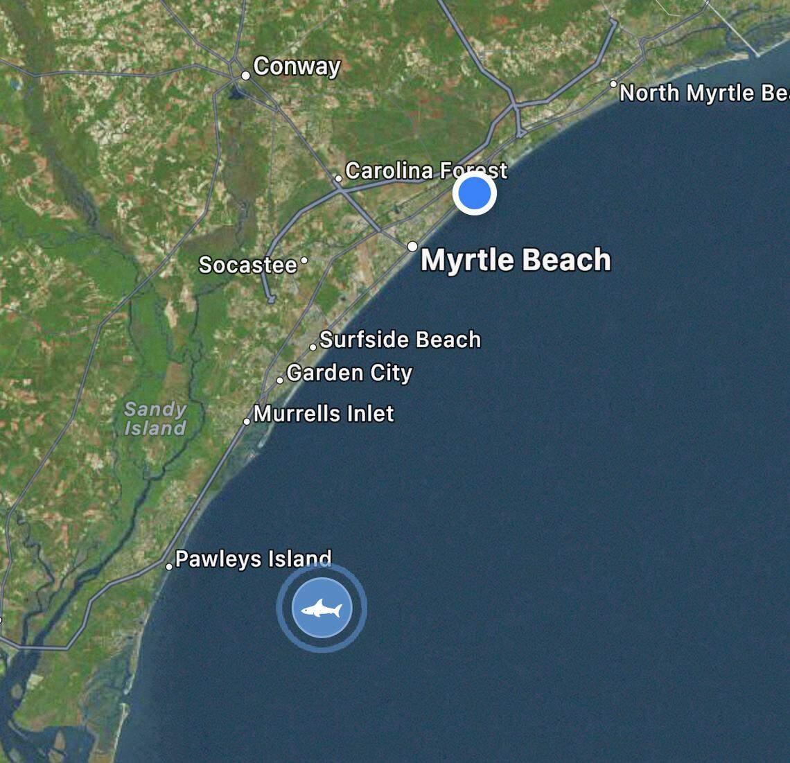Jekyll the great white shark’s location on Nov. 13 2023