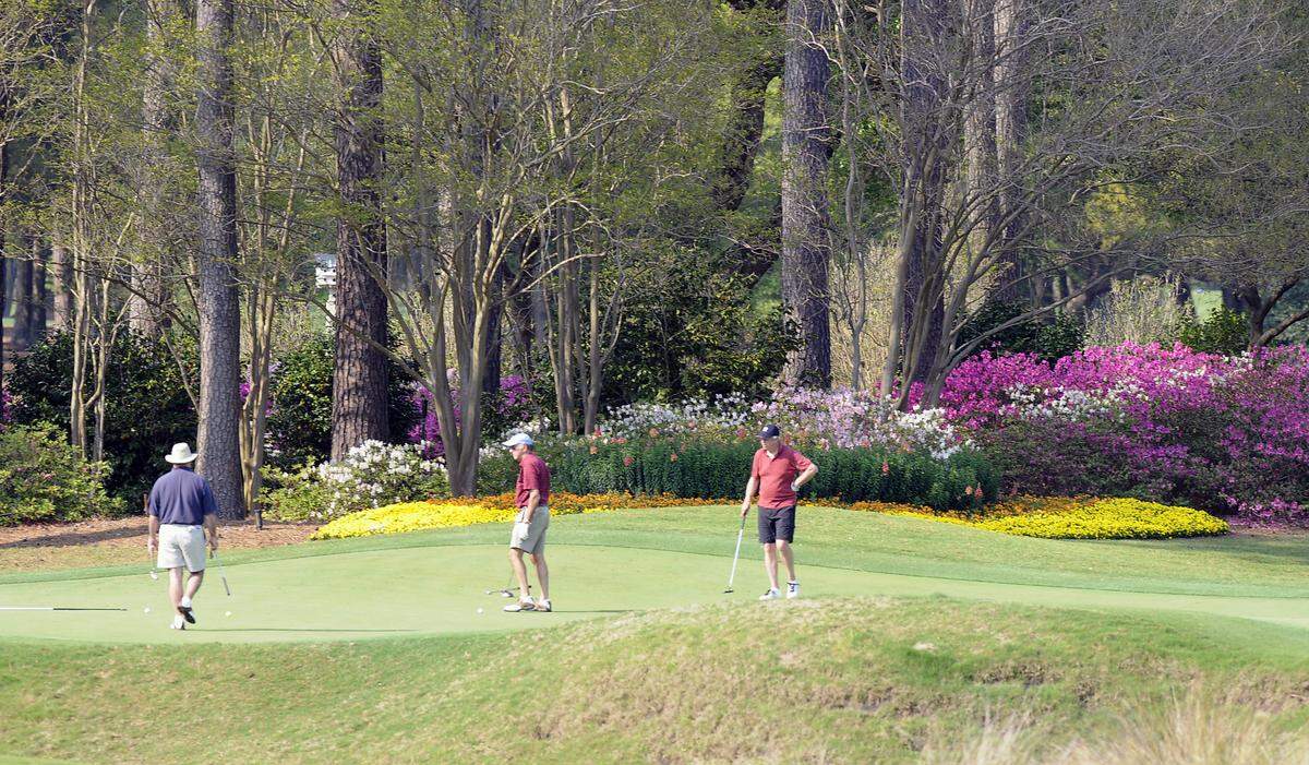 Beautiful azaleas and other blooming flowers form a backdrop to the Par 3, No. 11 green at Caledonia Golf & Fish Club in Pawleys Island.