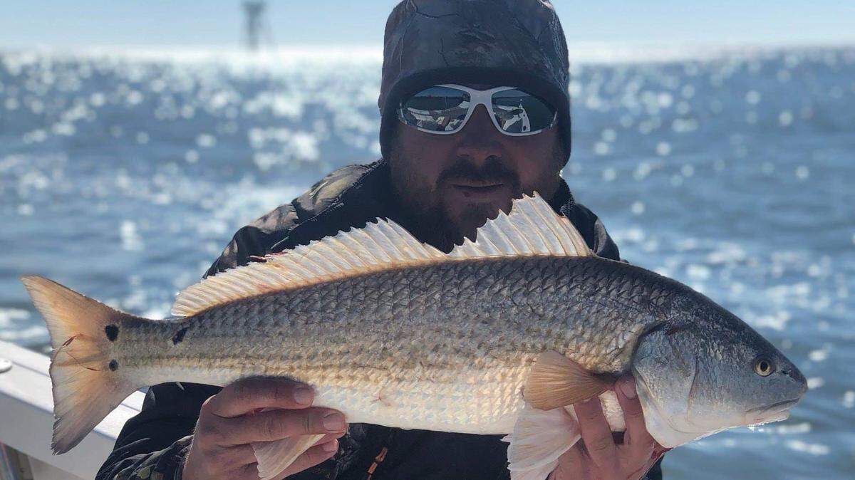 Capt. Dan Connolly of O-Fish-Al Expeditions shows off a red drum caught earlier this week in Murrells Inlet in chilly weather.