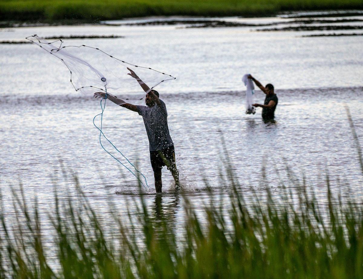 Oyster Landing, a part of Huntington Beach State Park gives visitors direct access to the Murrells Inlet marsh and is a popular place for fishing, crabbing and viewing wildlife.