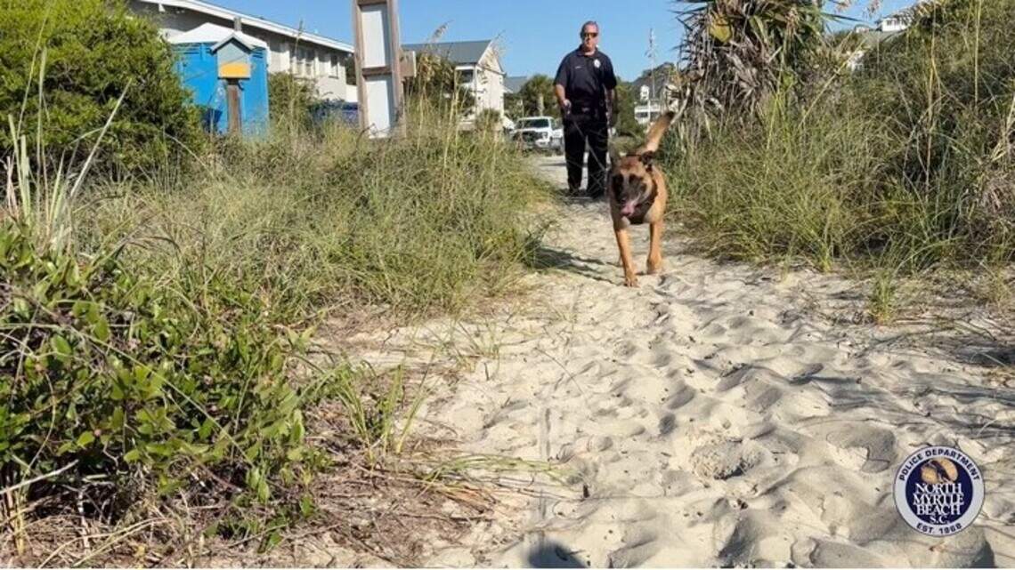 Homemade bomb found on SC beach could’ve caused ‘significant injury,’ police say