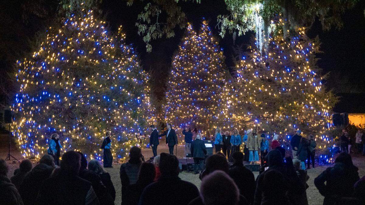 Nights of a Thousand Candles at Brookgreen Gardens in Murrells Inlet is in its 24th year and is one of the south’s most celebrated holiday destination. Three thousand candles are lit each night and there are over 180,000 lights hanging from the trees in Oak Allee alone. More than 80,000 tickets have been sold to this year’s events. Nov. 30, 2023.