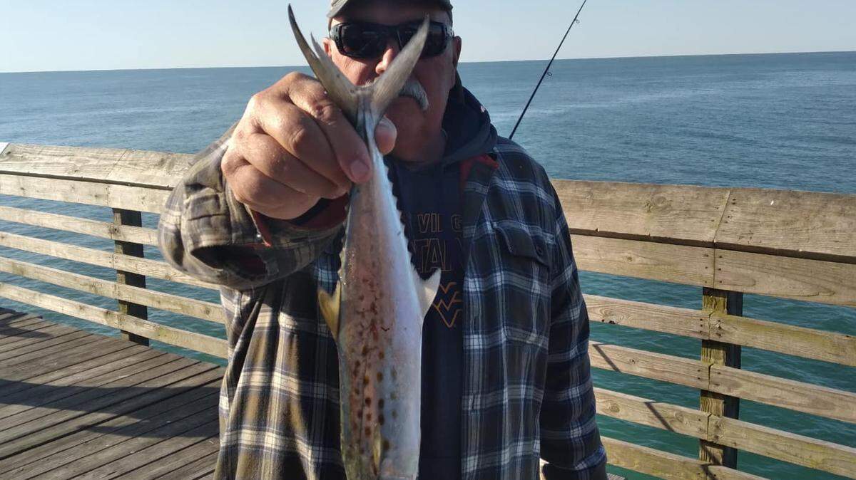 Spanish mackerel have shown up along the beach on the south end of the Grand Strand and at the near-shore artificial reefs. An angler from Maine shows off the first Spanish of the year caught off The Pier at Garden City on Sunday.