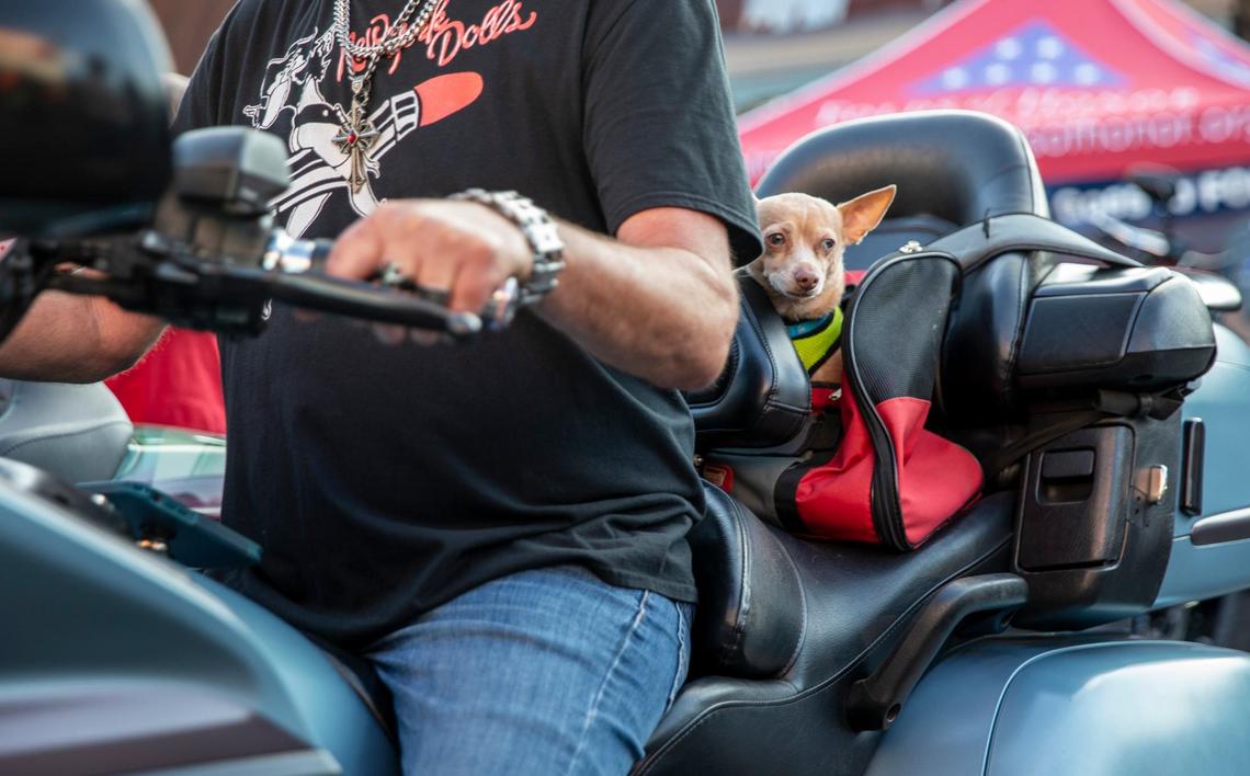 Custom motorcycles were on display at The Beaver Bar in Murrells Inlet S.C. during the 2024 Myrtle Beach Spring Rally on Thursday. May 16, 2024.