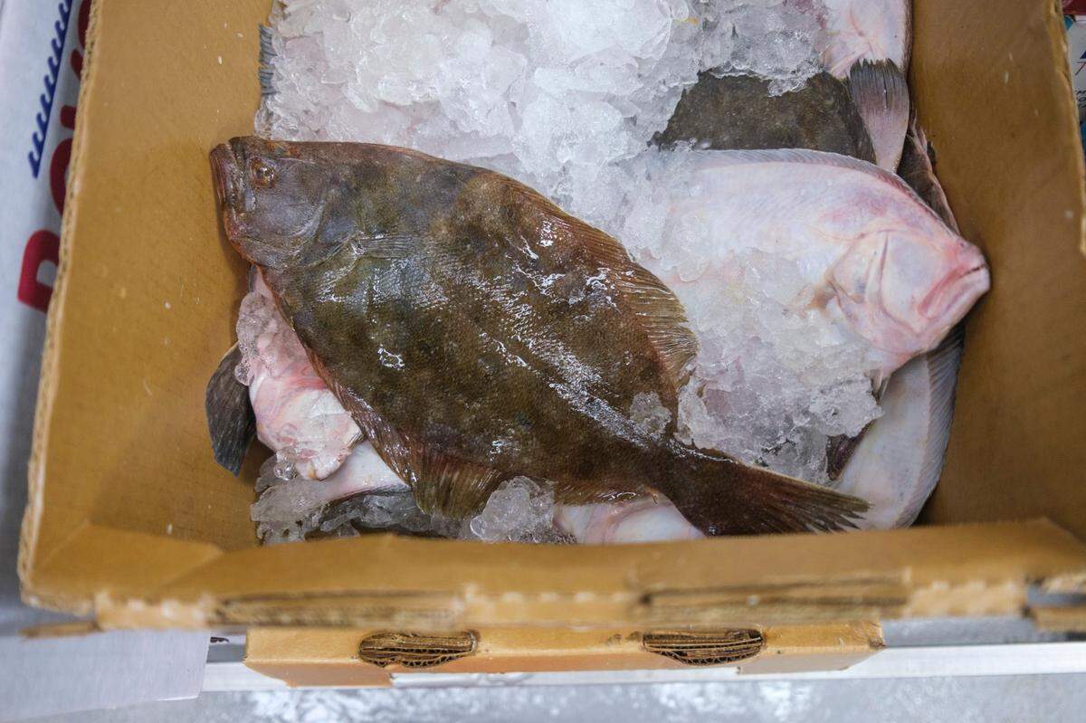 Fresh flounder delivered via North Carolina packer to Platt’s Seafood in North Myrtle Beach. Aug. 17, 2022.