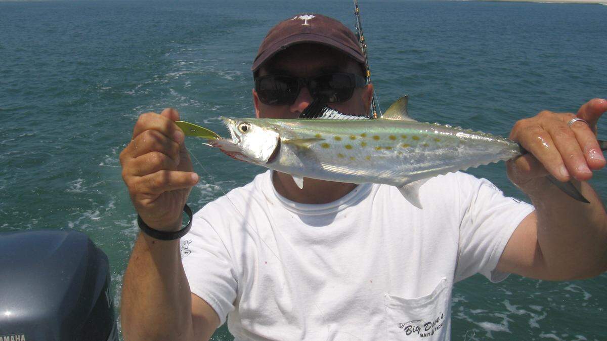 With mullet on the move, Spanish mackerel action has been very good in Grand Strand waters this week.