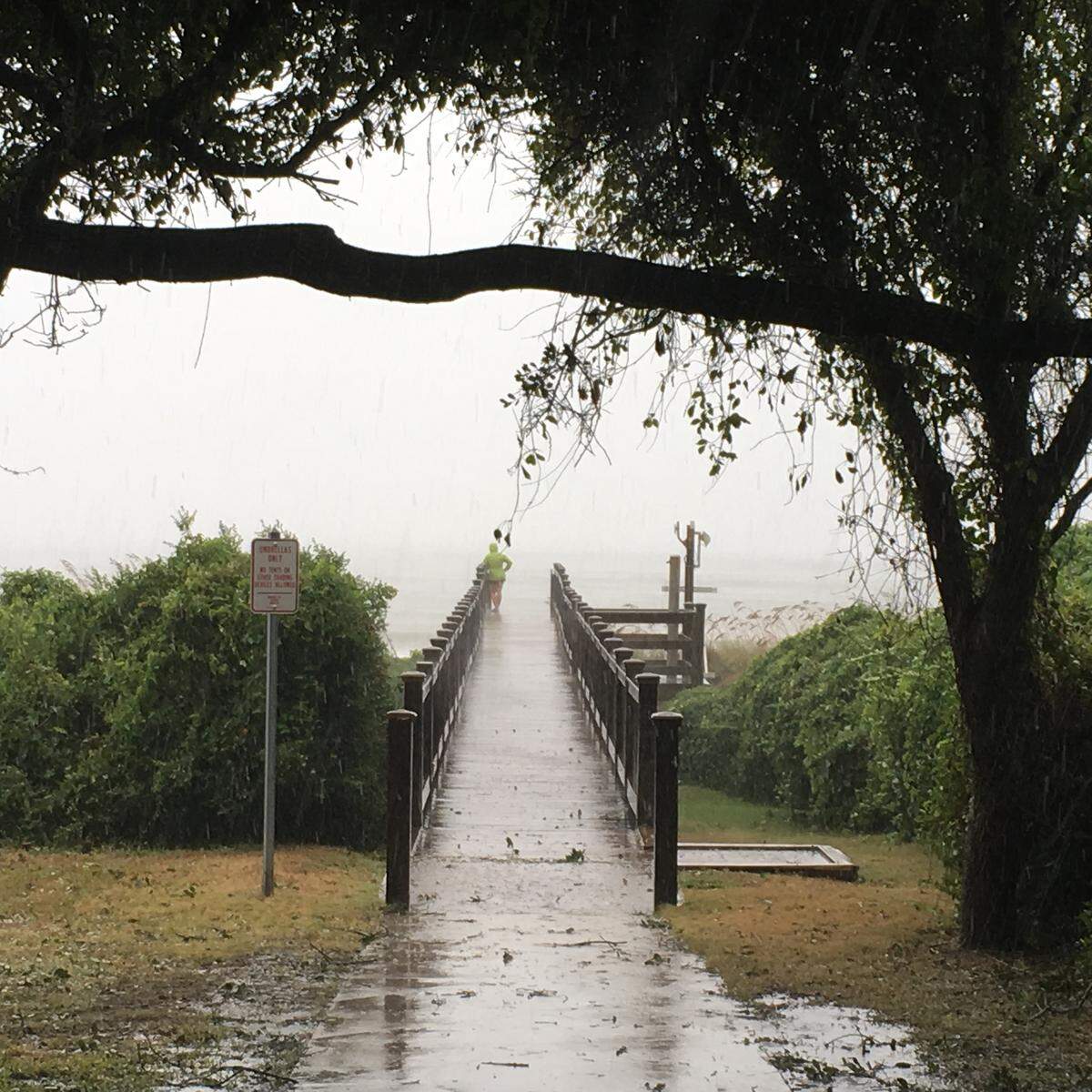 A woman checks out the view Friday afternoon near Ocean Boulevard and 38th Street in Myrtle Beach. Hurricane Florence made landfall as a Category 1 storm.