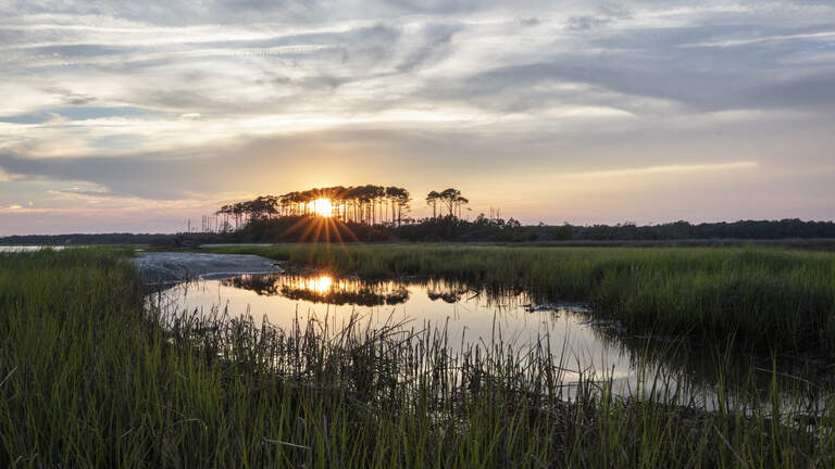 Will one of SC’s last undeveloped barrier islands get a state park? Plans move ahead
