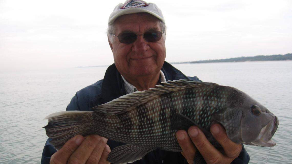 Grand Strand Fishing Report: Black sea bass among the species biting at near-shore reefs