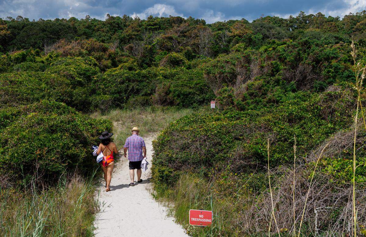 The Meher Spiritual Center, located off U.S. 17 between Myrtle Beach and North Myrtle Beach, is tucked among 500 acres of maritime forests and woodlands that have been kept wild for over 80 years. Beach access is restricted, available only to those who are visiting the retreat. Aug. 13, 2025.