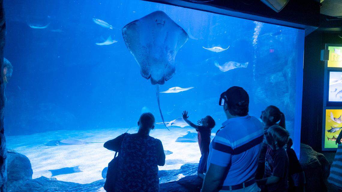 The aquarium, ropes course and restaurants: where Myrtle Beach, SC locals get discounts