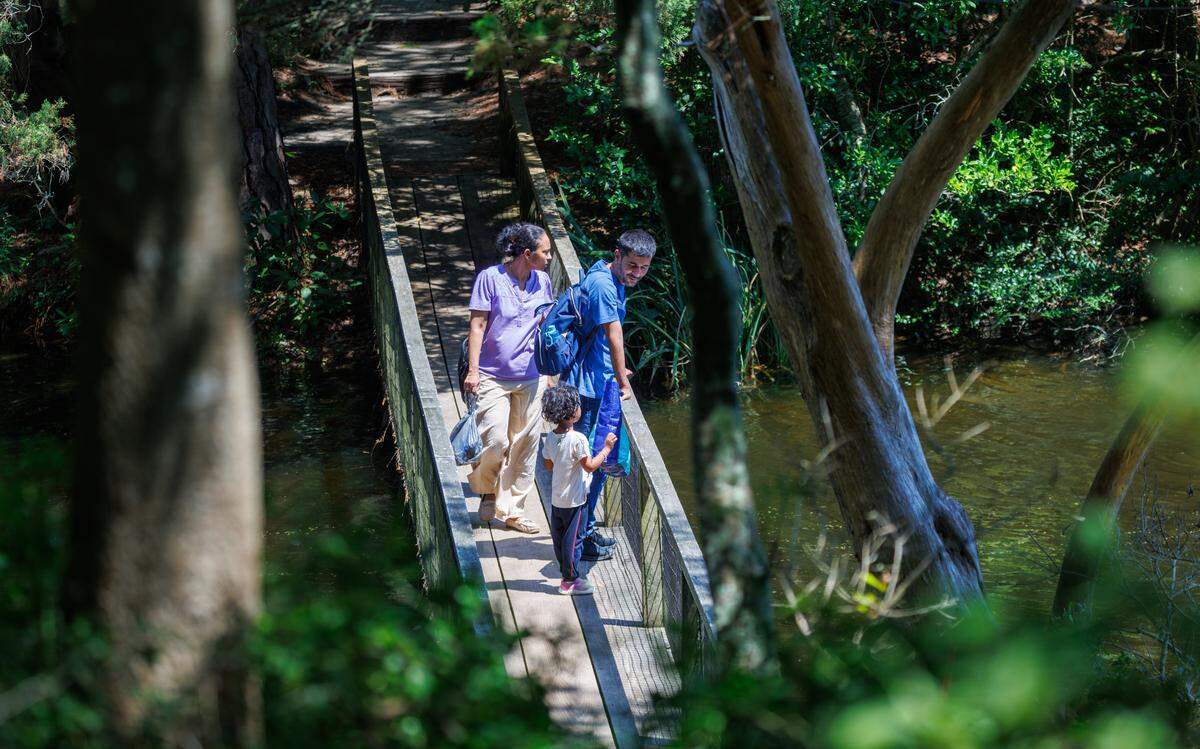 The Meher Spiritual Center, located off U.S. 17 between Myrtle Beach and North Myrtle Beach, is tucked among 500 acres of maritime forests and woodlands that have been kept wild for more than 80 years. The center is a spiritual retreat for those who wish to learn more about Meher Baba who his followers see as the “Avatar of the Age.” The center is known as his ‘home in the West’ with other centers in Australia and in India, where Baba was born and started his mission work. Aug. 13, 2025.
