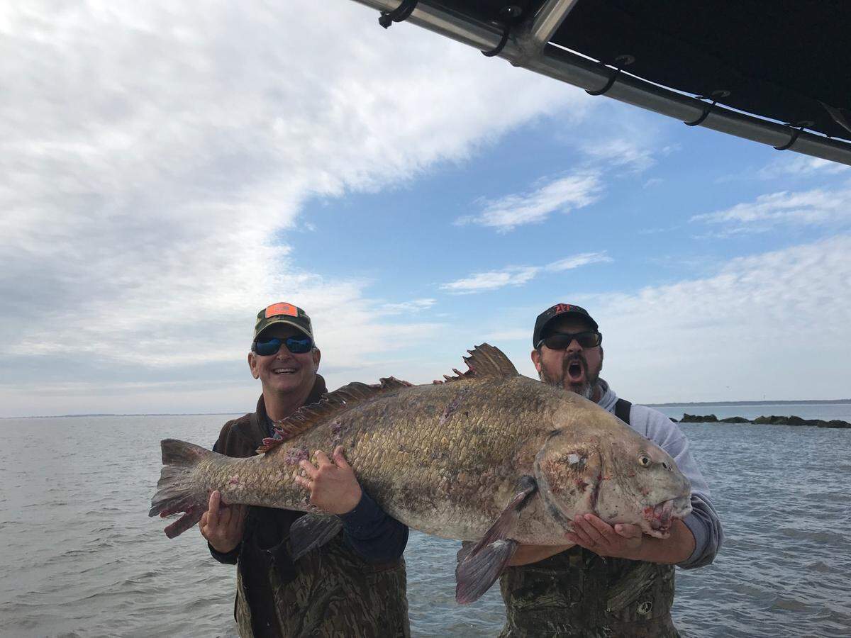 Jim Maass, Adam Kirby
