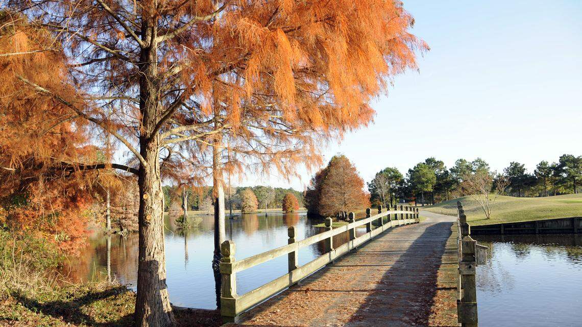 5 Myrtle Beach-area golf courses to play in the fall